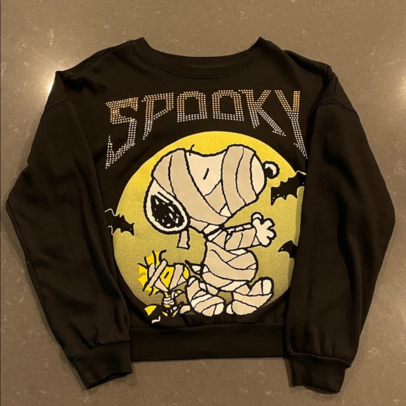 Peanuts Sweaters - Peanuts Snoopy and Woodstock Halloween Crewneck Sweater Extra Small